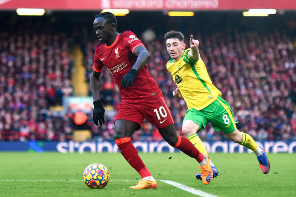 中如鱼得水 中如鱼得水